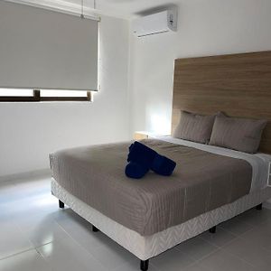 Apartamento de 3 Dormitorios
